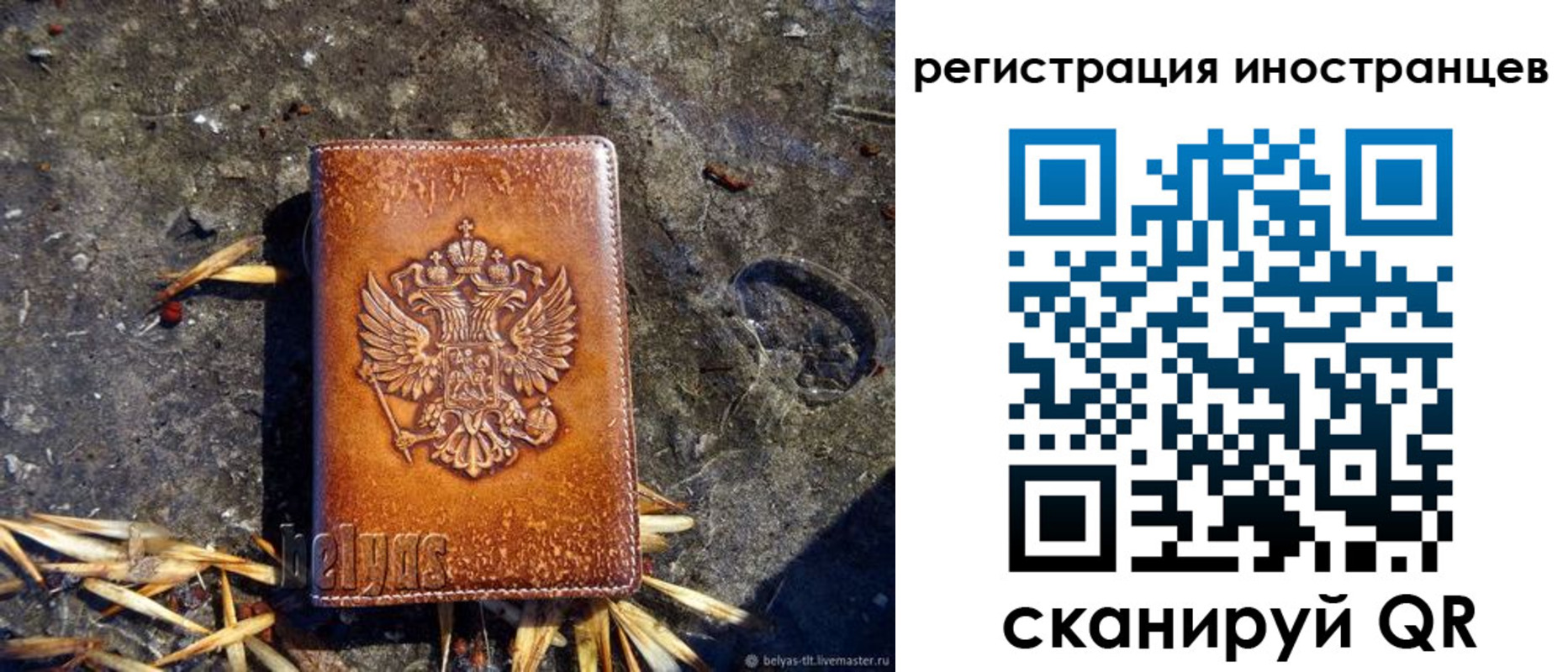 прописка регистрация в Николаевске